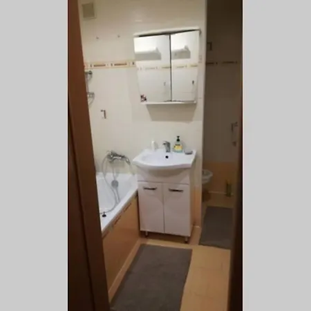 Flat3 With 2bedrooms Wifi * オストラヴァ